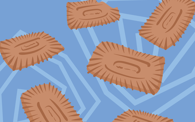 Specu-Lose Your Mind